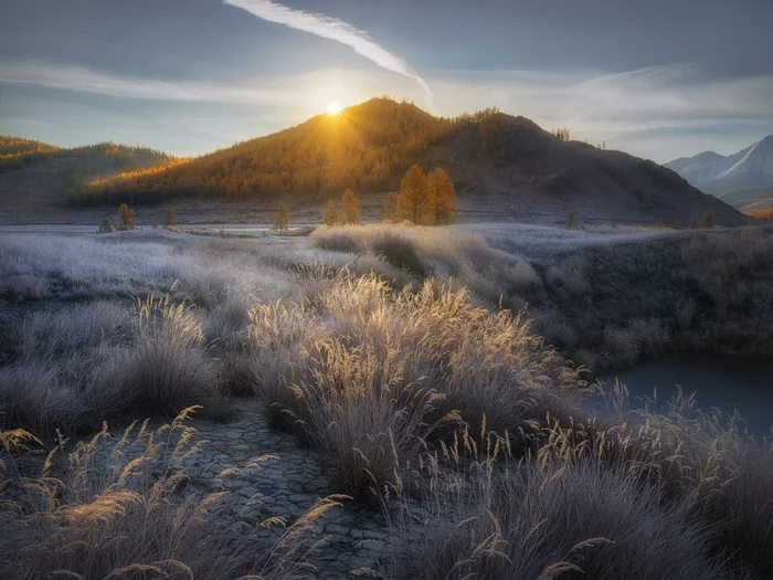 Warming up with the first rays - wildlife, Landscape, Sun rays, Grass, Beautiful view, The photo, Frost, Altai Republic