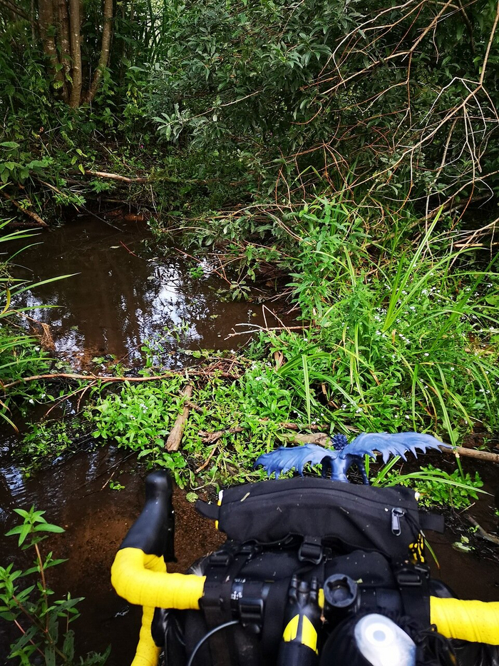 ��������� ������ ������ �� ��� ����.