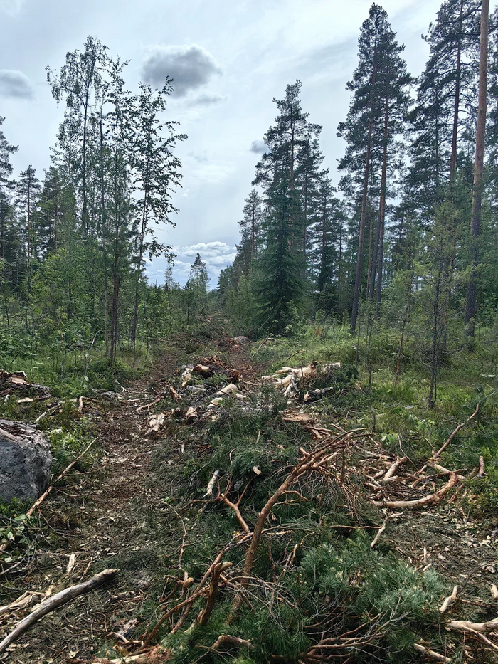 ������ ��� �� ����, �� �� ������.