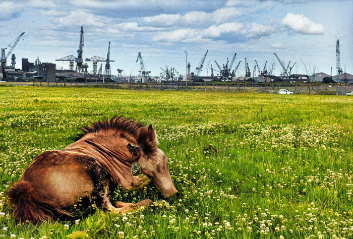 Любопытные фотографии из прошлого Великобритании. 20 раскрашенных фотографий ХХ века. Часть VIII Старое фото, Фотография, Историческое фото, Великобритания, 20 век, Колоризация, Англия, Лондон, Длиннопост