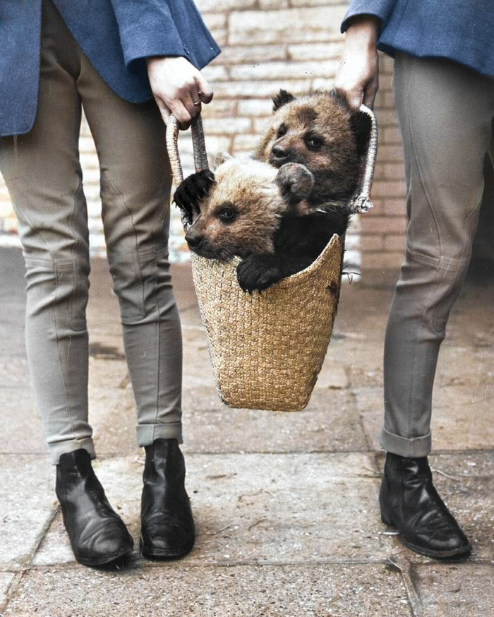 Любопытные фотографии из прошлого Великобритании. 20 раскрашенных фотографий ХХ века. Часть VIII Старое фото, Фотография, Историческое фото, Великобритания, 20 век, Колоризация, Англия, Лондон, Длиннопост