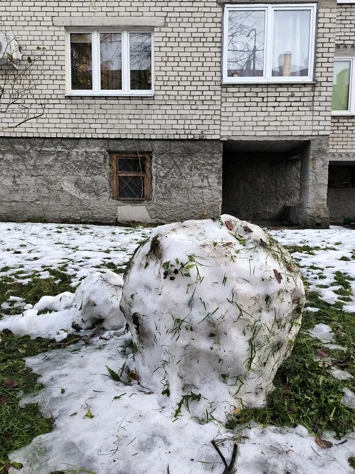 A clear Kaliningrad mudman. He lost his head, but still survived - My, Weather, Thunderstorm, Shock, Bad weather, Kaliningrad, Climate change, Sump, Winter, Longpost