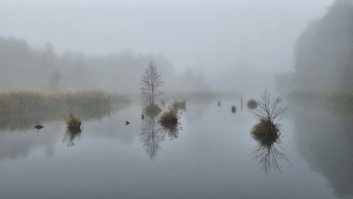 Fog - My, Fog, Lake, The photo, Water, Autumn