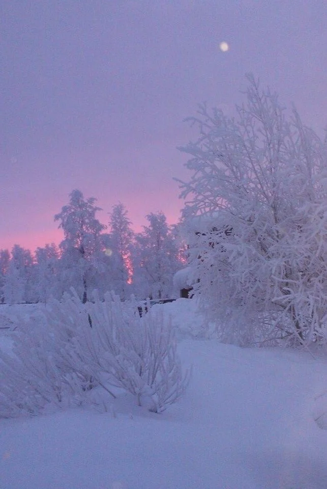 Cold weather - Cold, Winter, Moscow region