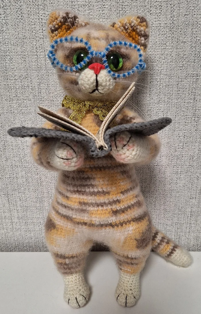 The learned cat - My, Crochet, Amigurumi, Knitted toys, With your own hands, Needlework without process, cat, Longpost