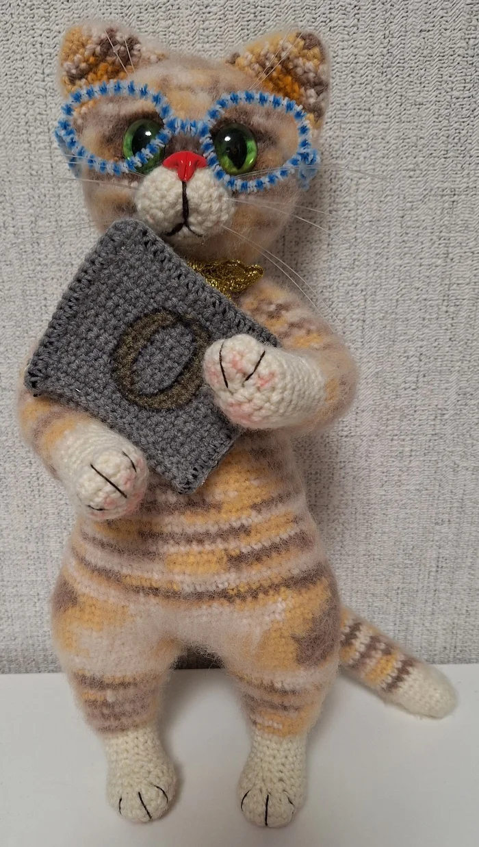 The learned cat - My, Crochet, Amigurumi, Knitted toys, With your own hands, Needlework without process, cat, Longpost