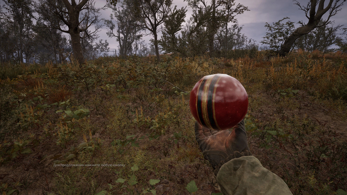   - .   , ,    ,      ,    .