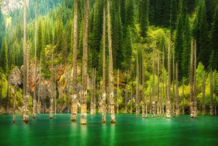 Lake Kaindy - My, The photo, Kazakhstan, Lake, Lake Kaindy