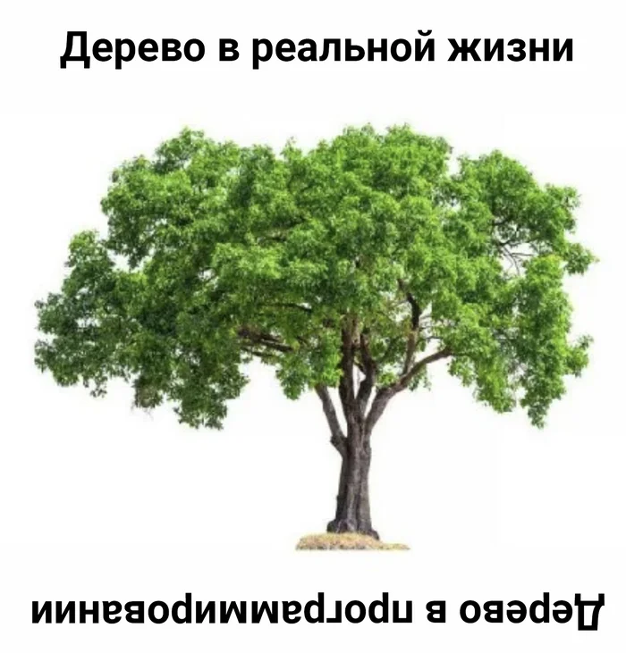 А вот в Австралии реальная жизнь совпадает с логикой - IT юмор, IT, Программирование, Программист, Картинка с текстом