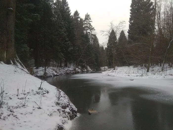 Winter Peace - My, The photo, Stream, Snow, River, Moscow region, Appeasement, Grace, Privacy, Road