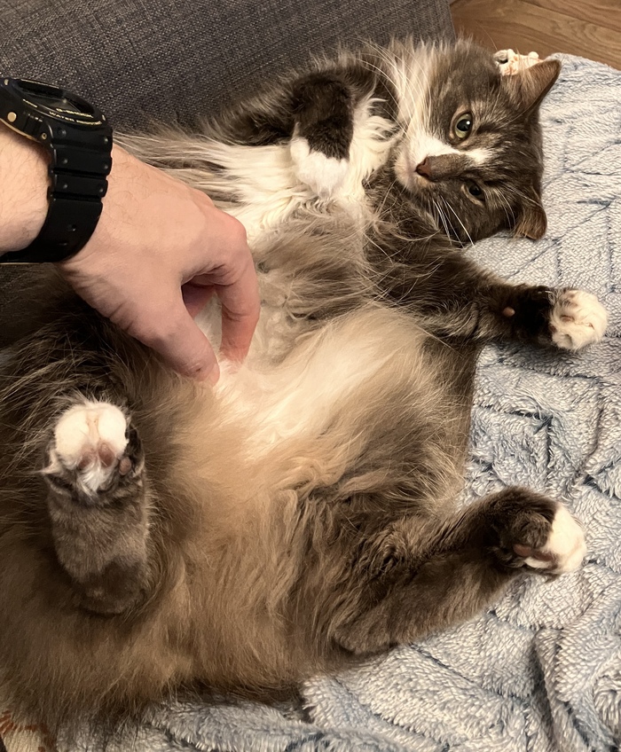 �� ������ �� ����� ������� ����, �������!