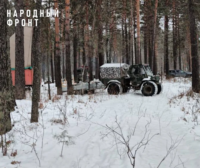 Carrying out work near the Larinsky Nature Reserve could cause colossal harm to endangered animals, plants and the entire ecosystem - Officials, Ecology, Eco-city, Tomsk, Siberia, Tomsk region, Onf, North, Nature, Straight line, Direct line with Putin, Reserves and sanctuaries, Longpost