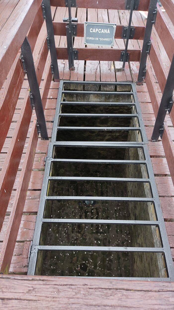      .  "".       .    ,   .