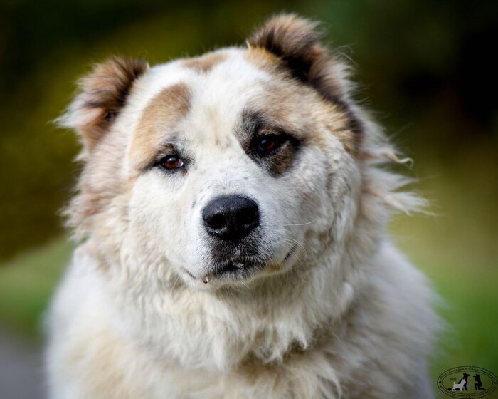 ������ 💔