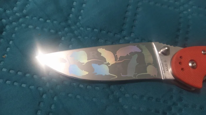 A rat with rats - My, Knife, crazy hands, Laser Machine, Video, Soundless, Vertical video, Longpost