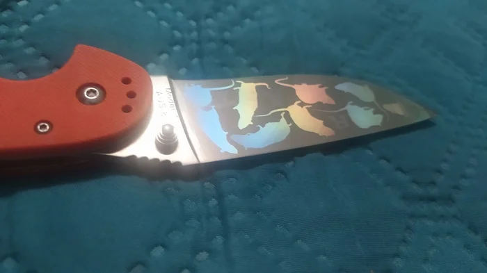 A rat with rats - My, Knife, crazy hands, Laser Machine, Video, Soundless, Vertical video, Longpost
