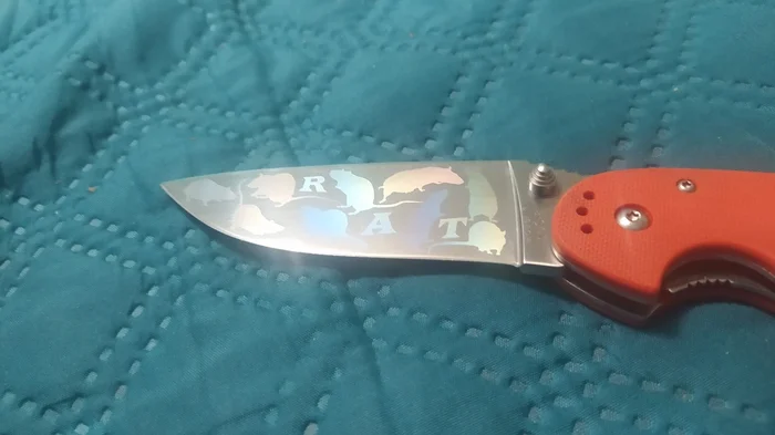 A rat with rats - My, Knife, crazy hands, Laser Machine, Video, Soundless, Vertical video, Longpost