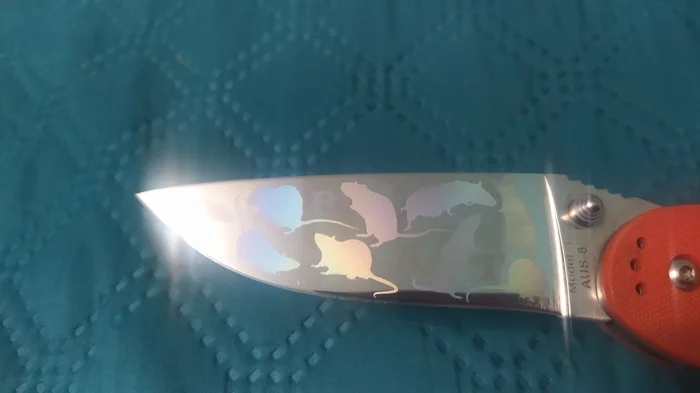 A rat with rats - My, Knife, crazy hands, Laser Machine, Video, Soundless, Vertical video, Longpost