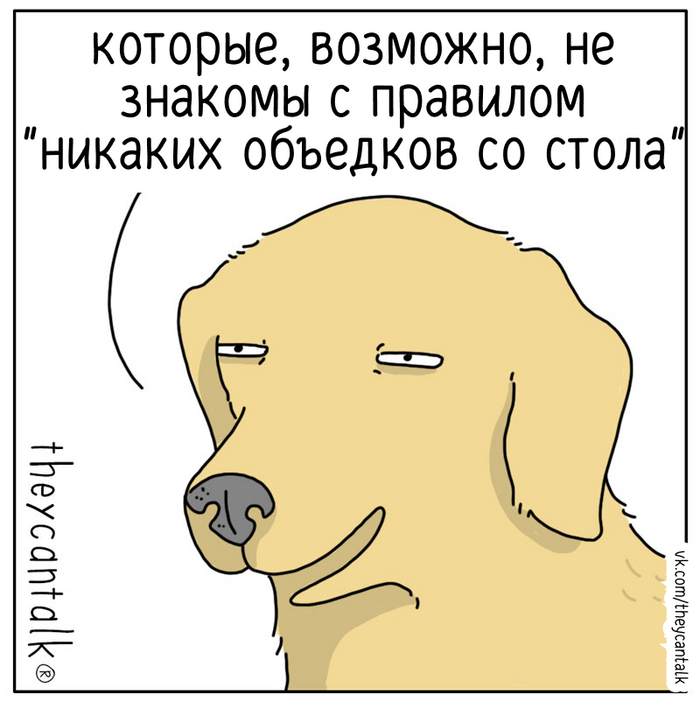  Theycantalk, ,  , , , ,  