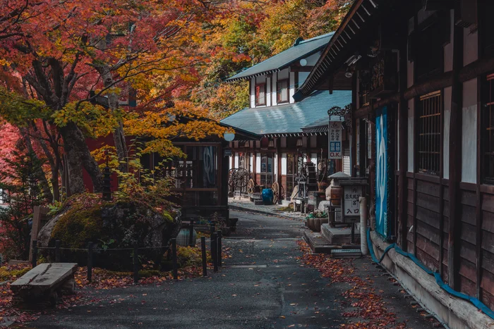 Autumn in Japan looks like this - Travels, Nature, Autumn, Japan, Telegram (link)