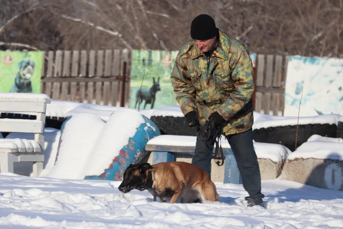 Dog training in Omsk - OCSSSS 11/23/24 - Dog, Puppies, Omsk, Training, Г“Г±Г±Г±, Friend, Care, Kindness, Dog breeding, Friends, Dog lovers, Longpost