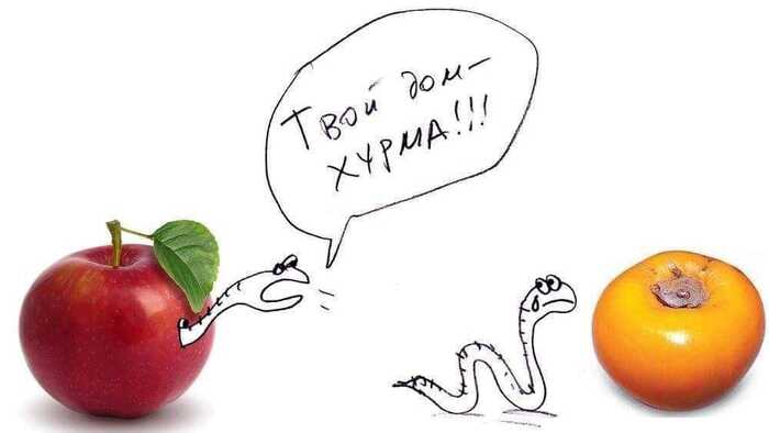 CHRE - Humor, Picture with text, Persimmon, Apples, Worm, Repeat