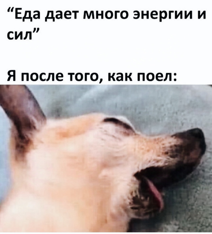 Неважно сельдерей или стейк, но непременно будет так