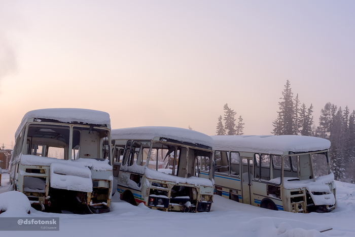 Так простояли лет 5, последний раз видел их уже распиленными в другом месте.