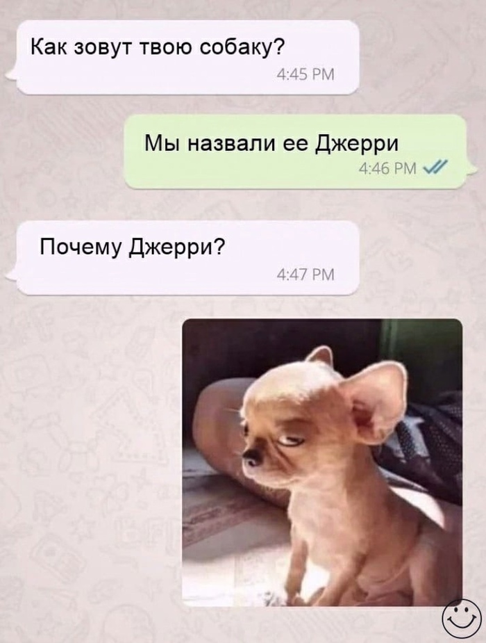 1732645707132191042.jpg