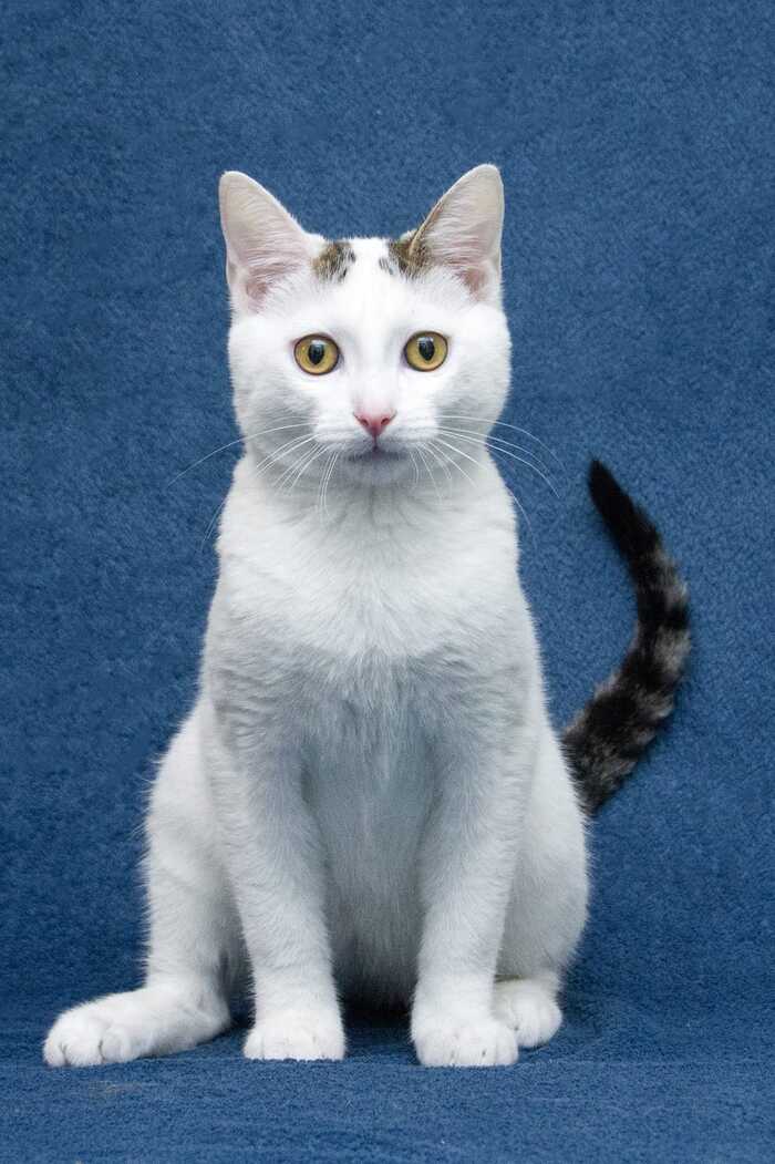  ,       , ,   , , ,  , , ,  , ,  , ,  , 