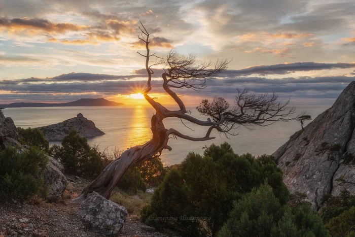 Morning in Hell Valley - My, The photo, Landscape, Sea, The mountains, Crimea, New World, Morning, dawn