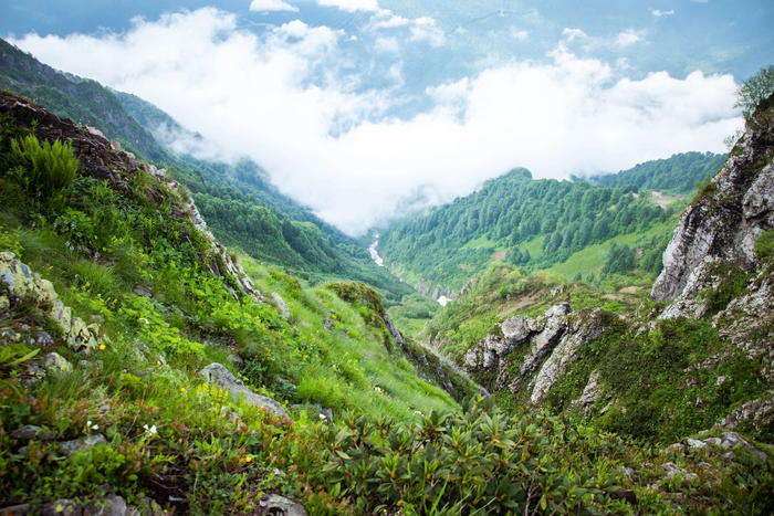 ���� �������