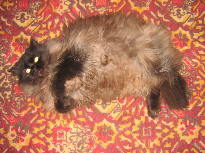 Перец черный молотый :)) Хотя тут, скорее, горошек :))