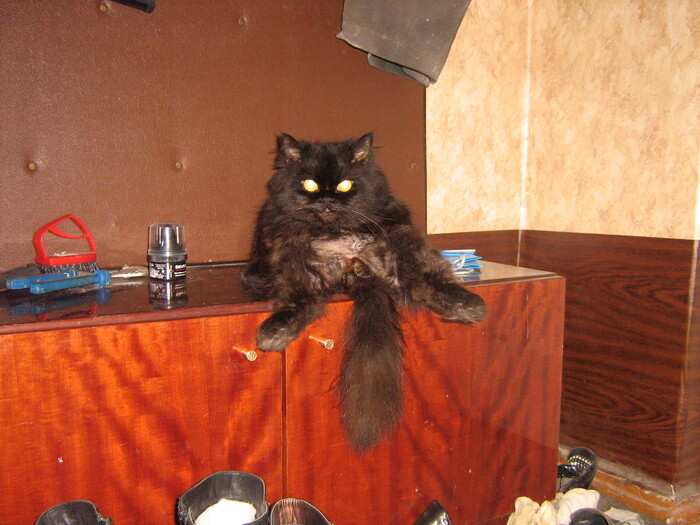 Прораб присел отдохнуть :))