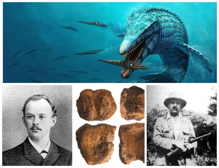 The first dinosaur in Russia was found in the Orenburg province. The geologist who made the discovery was looking for oil, fought the Reds and died in South Africa - Museum, Dinosaurs, Orenburg, Orsk, Paleontology, Российская империя, the USSR, VKontakte (link), Longpost