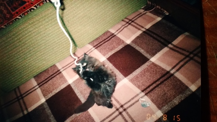 � ��������, �������, �������� �� ��� ����������. � ��� ��������, ������ - ��� ������ :))