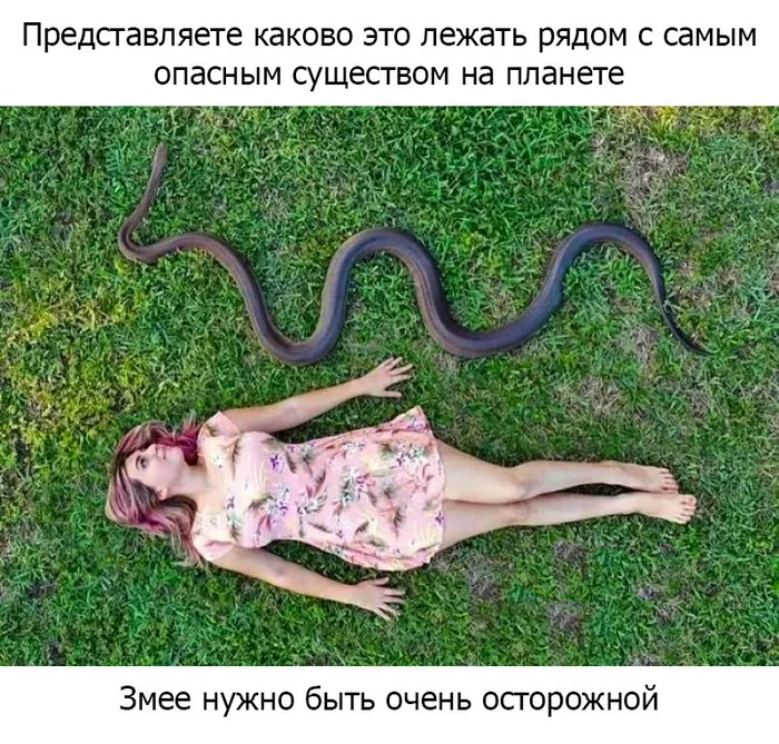 Snakes are very dangerous - Picture with text, Humor, Memes, Girls, Snake