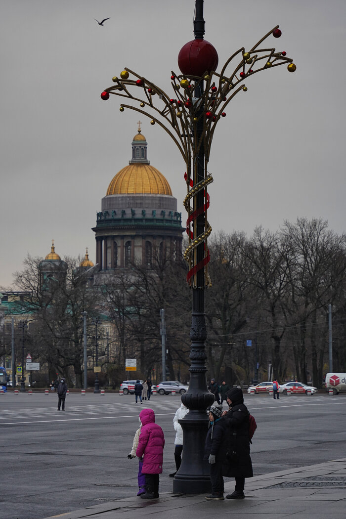   2024 - 2025 ..        )))