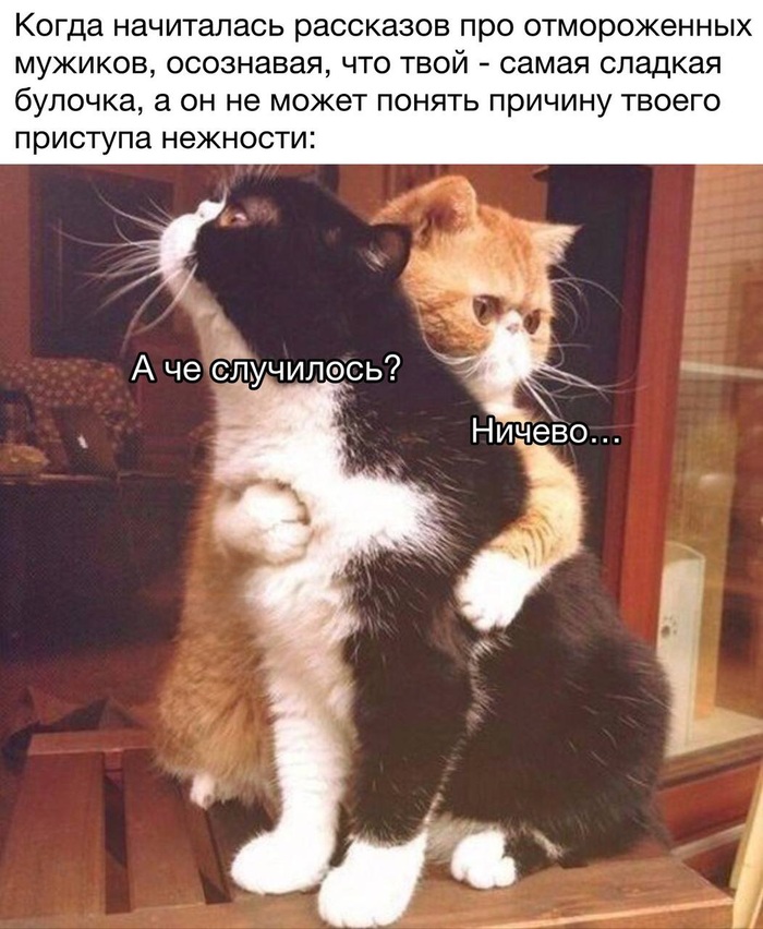 ����� ��������� ��� ������� � �����