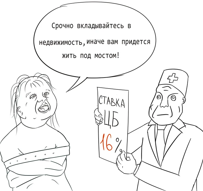 Вот что нам рассказывали риэлторы в 2024 году - Моё, Юмор, Картинка с текстом, Карикатура, Риэлтор, Длиннопост