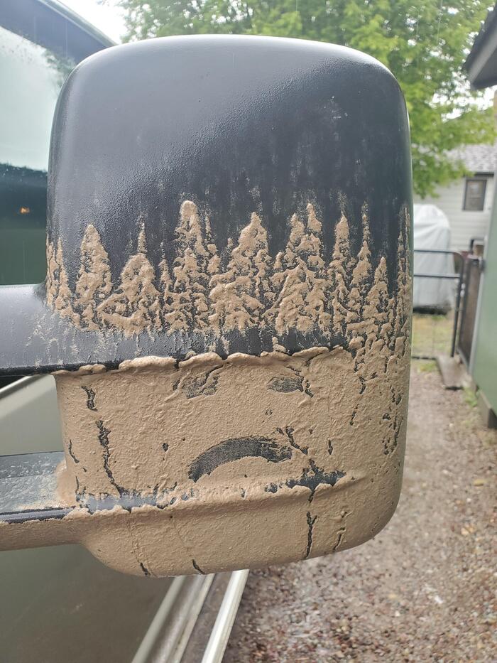 Highly artistic dirt - Auto, Side mirrors, Dirt, Tree, Forest, It seemed, Pareidolia, The photo