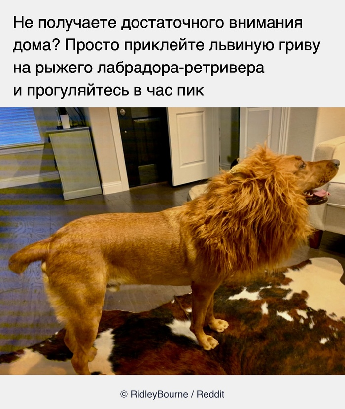  , ADME, Reddit, 