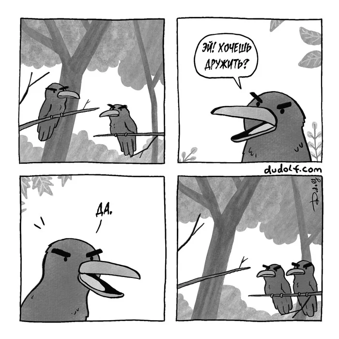 Friends - My, Translated by myself, Comics, Friends, friendship, Birds