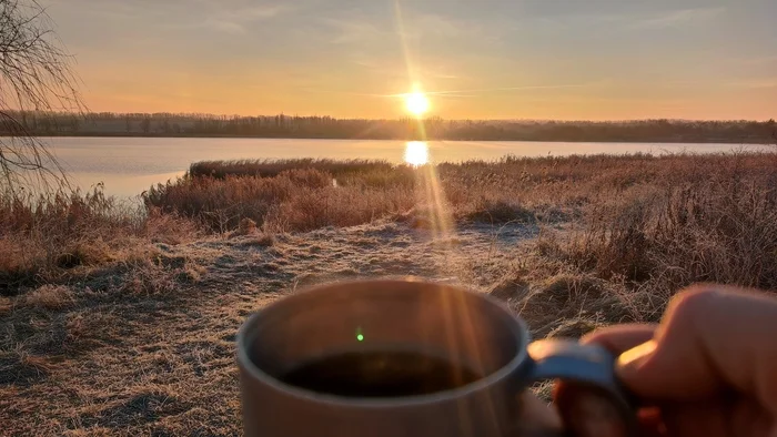 Frosty morning - My, Rostov region, Winter, Frost, Fishing, Rose hip, Morning, Longpost, freezing, The photo