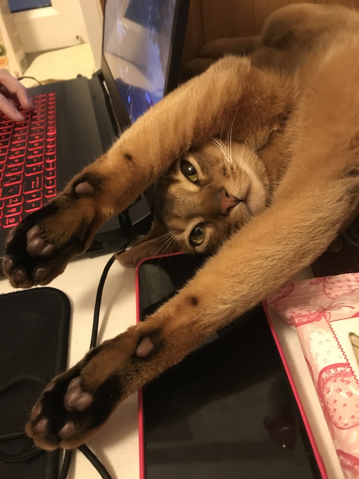    , ,  , 