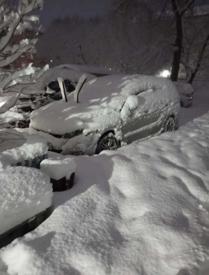 The Amur Region was hit by the strongest cyclone in the last 92 years (as reported by the media) - Snow, Blagoveshchensk, Video, Record, Vertical video, Longpost