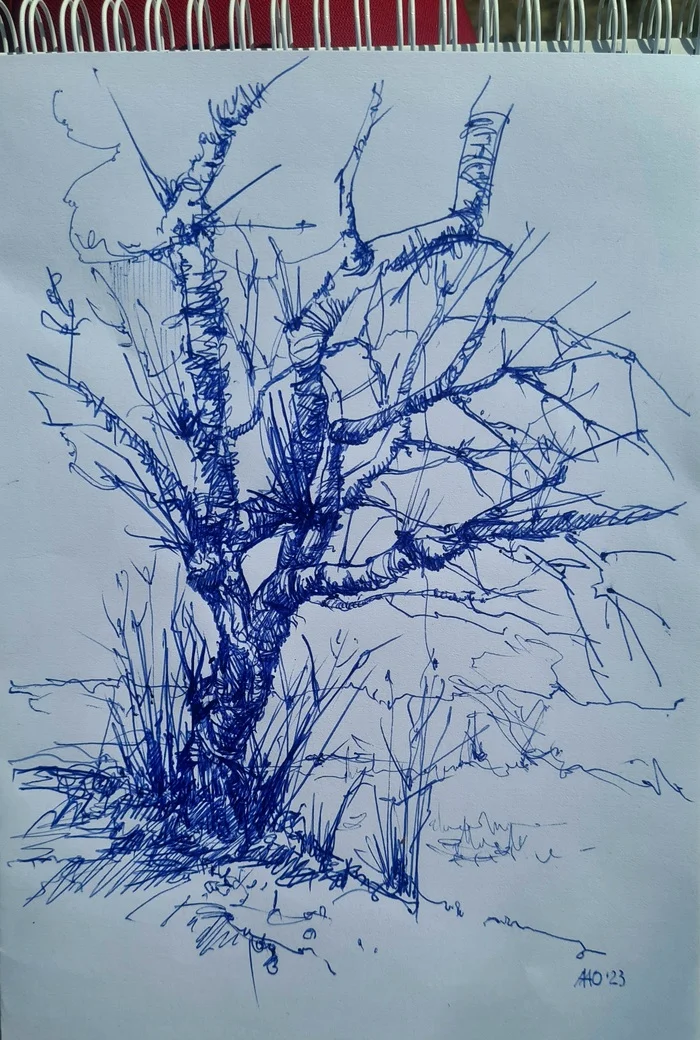 Park. Tree. Lunch. Bench. - My, Sketchbook, Graphics, Pen drawing, Sketch, Sketch, Handmade, Plein air, Traditional art, Longpost