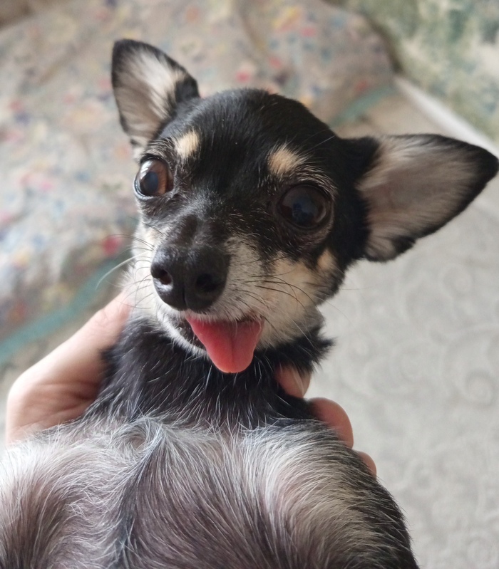 �������������