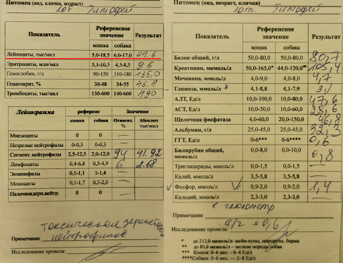 ����� � ������������� ������� �����