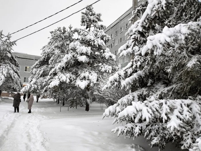 Snowfalls, snowfalls... - My, Blagoveshchensk, Snowfall, beauty, Longpost